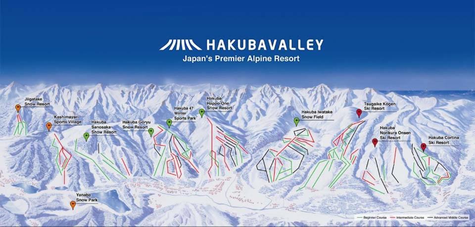 Anri Villa Hakuba Bagian luar foto